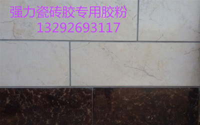 YH-05瓷砖粘结剂专用胶粉